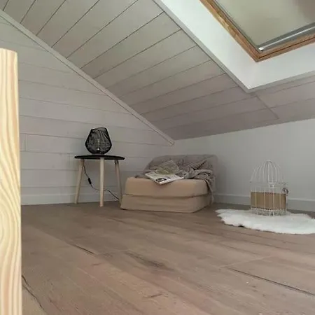 La Saboterie 2/3 Personnes Holiday home Le Mayet-de-Montagne